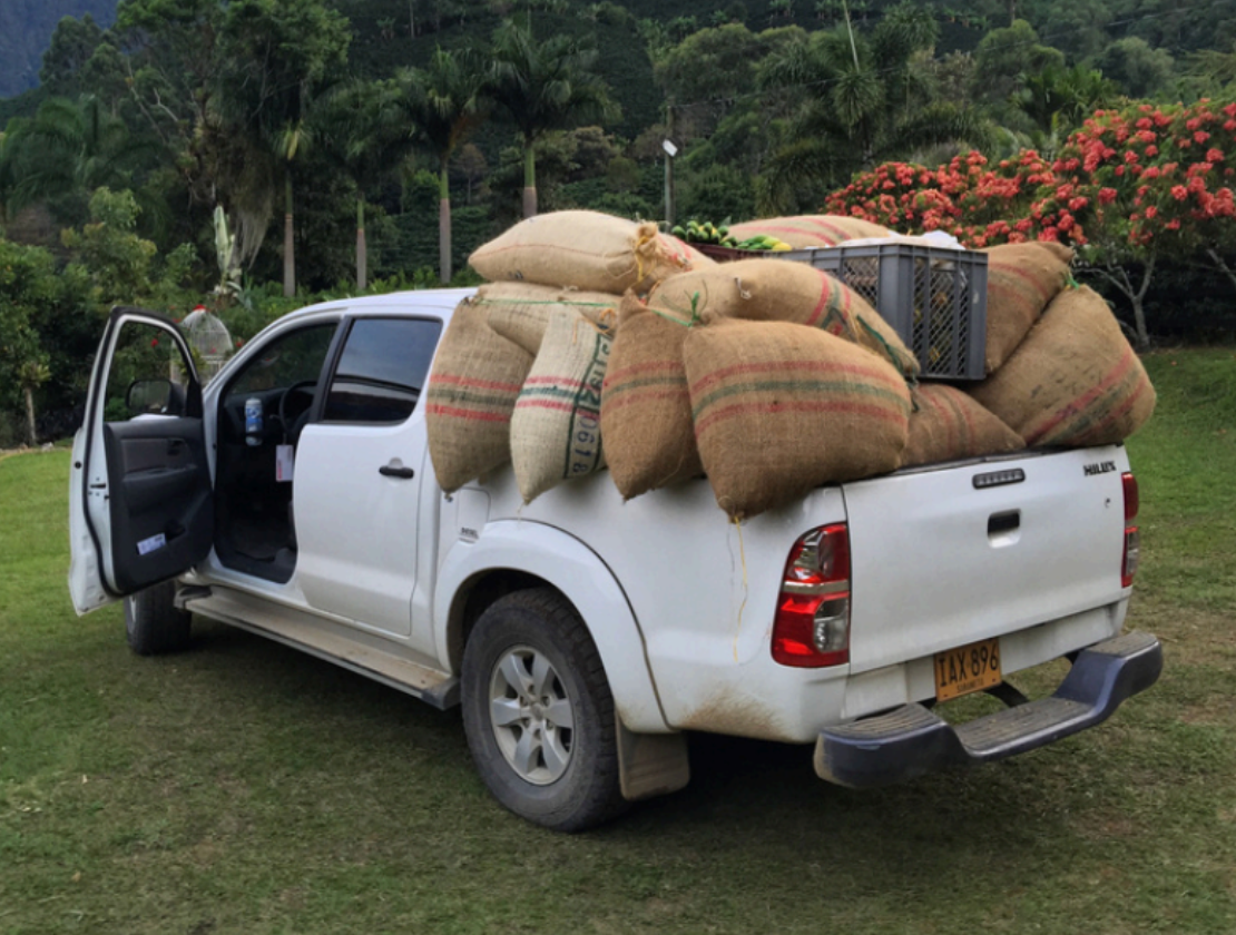 #6 Colombia - Finca Las Mercedes