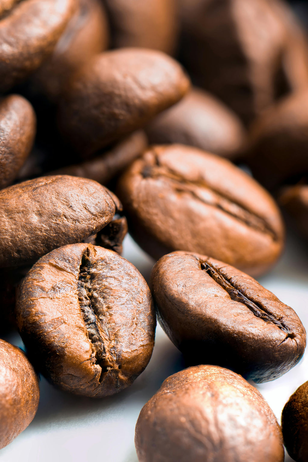 #1 Audlem Blend